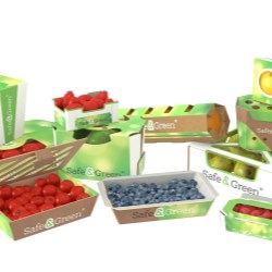 Smurfit Kappa launches innovative punnet portfolio for fresh produce market